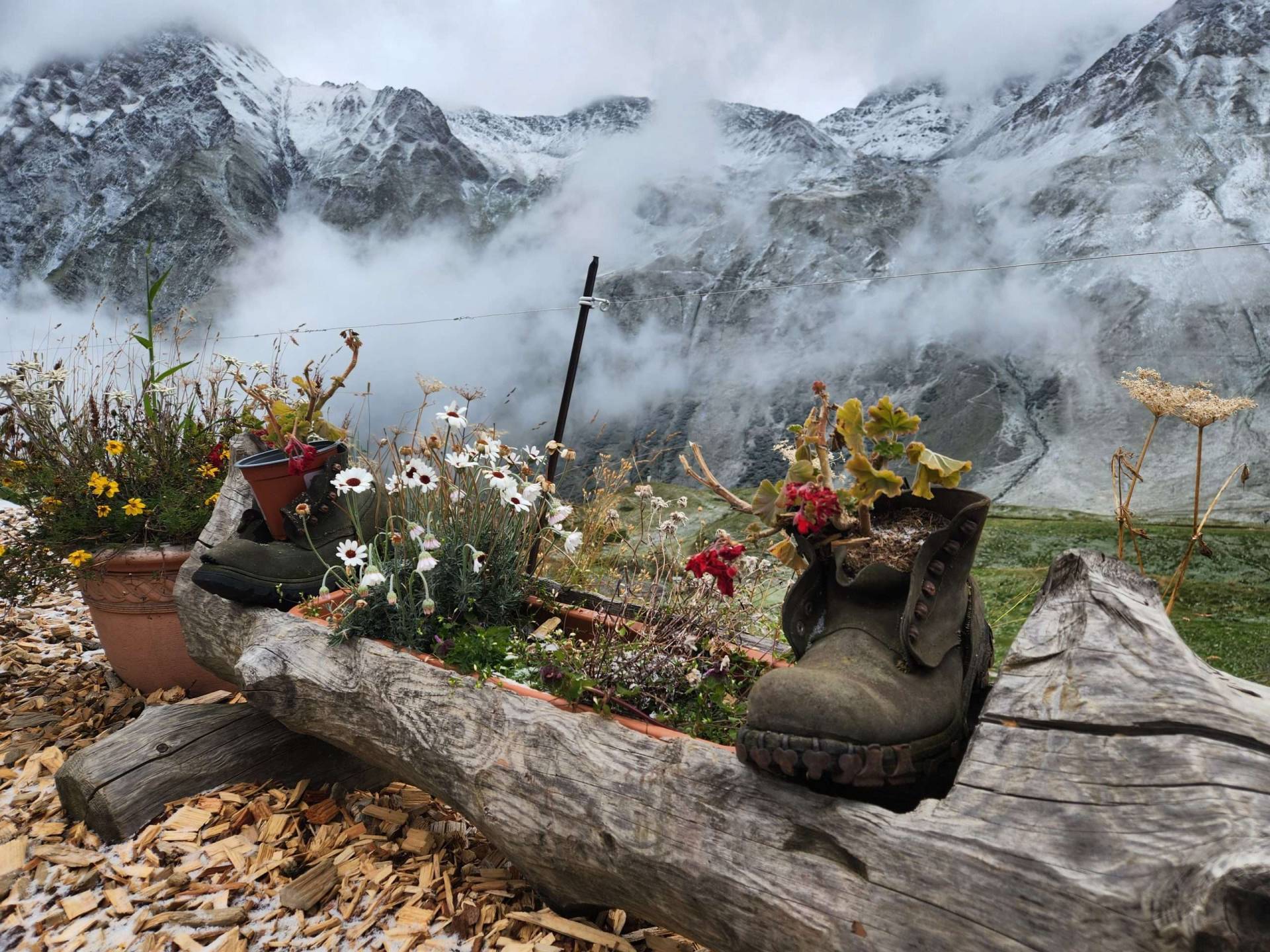 Flower box outside alpage de la peule