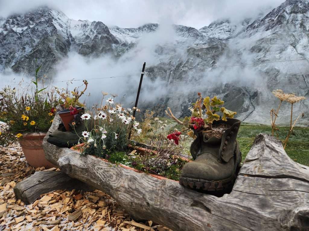 Flower box outside alpage de la peule