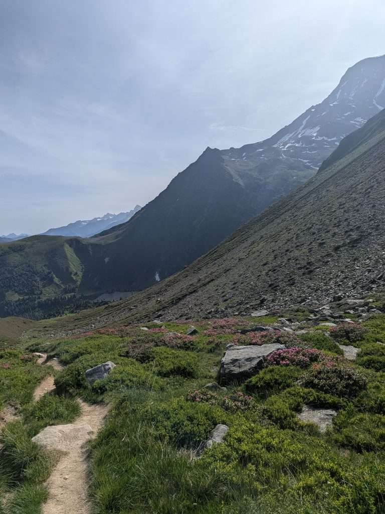 Looking back towards the Bionnassay valley.