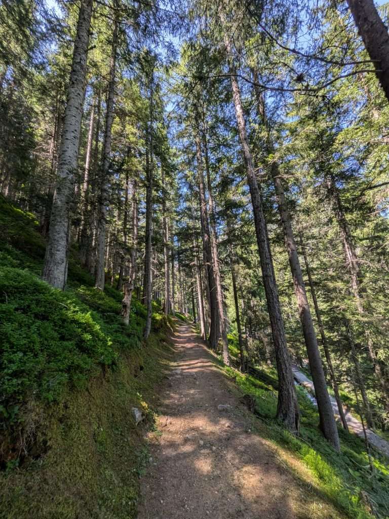 The trail along a bisse